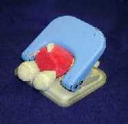 �L���B�[�̖`���R