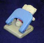 �L���B�[�̖`���T