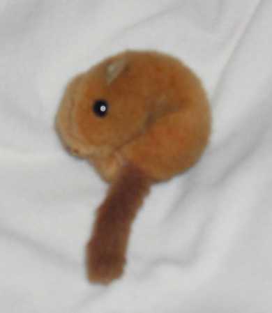 丸いヤマネくん